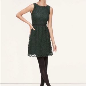 Loft Green Lace Dress